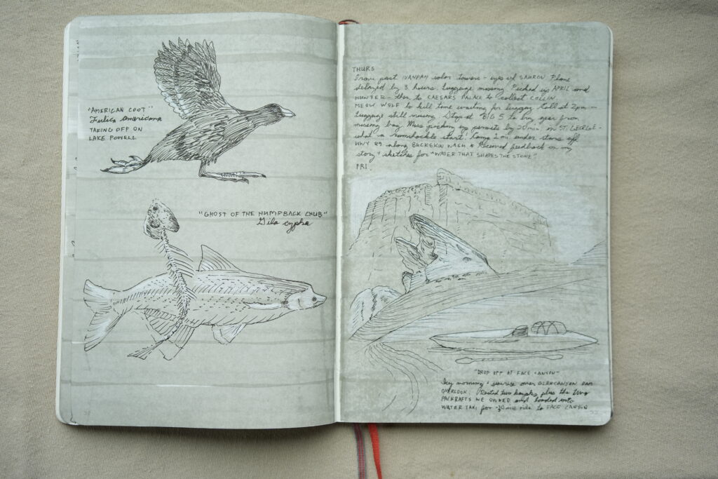 Field Journal Collective / Blue Book — spread 4
